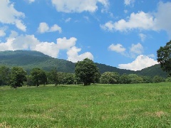 笹ヶ峰高原 北陸エリア おでかけガイド Jrおでかけネット