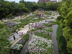 年は閉園 城北公園 城北菖蒲園 近畿エリア おでかけガイド Jrおでかけネット