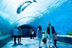 横浜 八景島シーパラダイス 東京 中部エリア おでかけガイド Jrおでかけネット