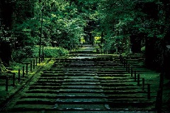 平泉寺白山神社：北陸エリア | おでかけガイド：JRおでかけネット