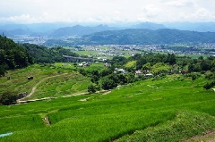 稲倉の棚田：東京・中部エリア | おでかけガイド：JRおでかけネット