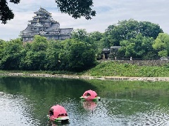 Cafe Restaurant Boating 碧水園 桃ボート 中国エリア おでかけガイド Jrおでかけネット