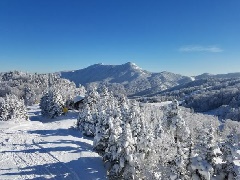 志賀高原中央エリア 東館山スキー場 東京 中部エリア おでかけガイド Jrおでかけネット