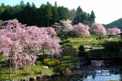 室生寺 近畿エリア おでかけガイド Jrおでかけネット