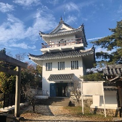 長野県タイプＢ、山田城、蟻塚城、殿嶋城、市野瀬古城、遠野城イベント限定、 今年で開園150年。〈高遠城址公園〉のお花見情報2025 | Go