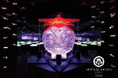 アートアクアリウム美術館 GINZA：東京・中部エリア | おでかけガイド