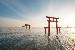 海と鳥居 佐賀に訪れたら、 絶対に見逃せない場所がある。 それが、 大魚