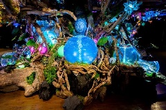 奈良いきものミュージアム：近畿エリア | おでかけガイド：JRおでかけ