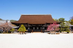 旧嵯峨御所 大本山 大覚寺 近畿エリア おでかけガイド Jrおでかけネット