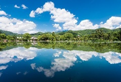 巻物 「第四巻　挿花極秘養法」　　明治４０年　嵯峨御所　京都大本山大覚寺本山 旧嵯峨御所 大本山大覚寺の桜（京都市右京区） - お花見2025