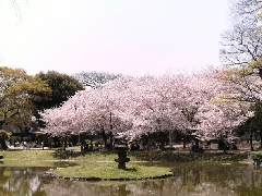 住吉公園 近畿エリア おでかけガイド Jrおでかけネット