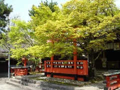 梅宮大社神苑の梅林：近畿エリア | おでかけガイド：JRおでかけネット