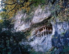 三徳山三佛寺 国宝投入堂：中国エリア | おでかけガイド：JR