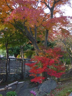 筥崎宮神苑花庭園：九州エリア | おでかけガイド：JRおでかけネット