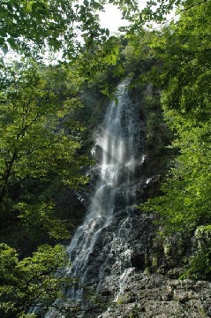 天滝：近畿エリア | おでかけガイド：JRおでかけネット