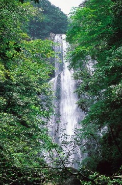 矢研の滝：九州エリア | おでかけガイド：JRおでかけネット