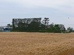 斐川（築地松）：中国エリア | おでかけガイド：JRおでかけネット