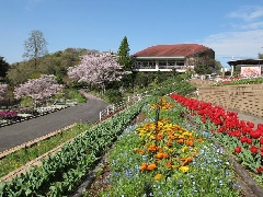 和歌山県植物公園緑花センター 近畿エリア おでかけガイド Jrおでかけネット