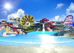 芝政ワールド カリビアン ラグーン 北陸エリア おでかけガイド Jrおでかけネット