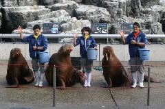 大分マリーンパレス水族館「うみたまご」：九州エリア | おでかけ