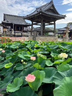 家原寺：近畿エリア | おでかけガイド：JRおでかけネット