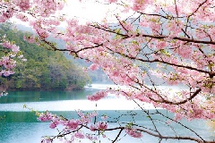 津風呂湖：近畿エリア | おでかけガイド：JRおでかけネット