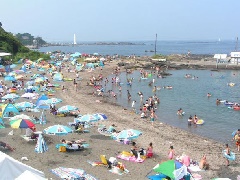 年シーズンの海水浴場は閉鎖 荒井浜海水浴場 東京 中部エリア おでかけガイド Jrおでかけネット