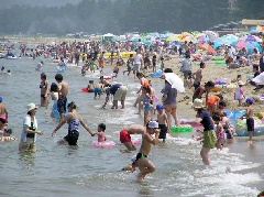 氷見市海浜植物園 北陸エリア おでかけガイド Jrおでかけネット