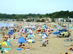 21年シーズンの海水浴場は8月7日をもって閉鎖 三浦海岸海水浴場 東京 中部エリア おでかけガイド Jrおでかけネット