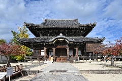 真宗高田派本山専修寺（通称：高田本山）：東京・中部エリア