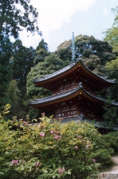 松尾寺 近畿エリア おでかけガイド Jrおでかけネット