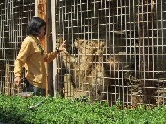 大牟田市動物園 九州エリア おでかけガイド Jrおでかけネット