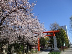 稲毛神社 東京 中部エリア おでかけガイド Jrおでかけネット