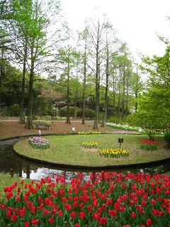 服部緑地都市緑化植物園 近畿エリア おでかけガイド Jrおでかけネット