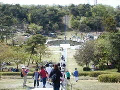 21年シーズンのプールは閉鎖 山城総合運動公園 太陽が丘 ファミリープール 近畿エリア おでかけガイド Jrおでかけネット