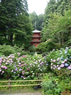 浄瑠璃寺】極楽浄土に行きたい人なら一度は参拝しておきたいお寺