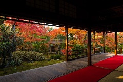 妙心寺塔頭 大法院 近畿エリア おでかけガイド Jrおでかけネット