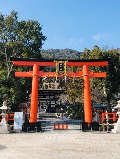 梅宮大社神苑の梅林：近畿エリア | おでかけガイド：JRおでかけネット