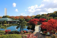 大仙公園 日本庭園 近畿エリア おでかけガイド Jrおでかけネット