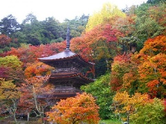 金剛院：近畿エリア | おでかけガイド：JRおでかけネット