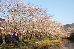 鹿野城跡公園 中国エリア おでかけガイド Jrおでかけネット