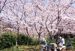 平草原公園 近畿エリア おでかけガイド Jrおでかけネット