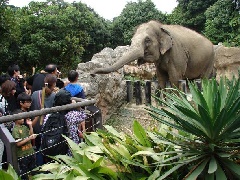 到津の森公園：九州エリア | おでかけガイド：JRおでかけネット