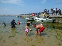 21年シーズンの海水浴場は閉鎖 淡輪海水浴場 ときめきビーチ 近畿エリア おでかけガイド Jrおでかけネット