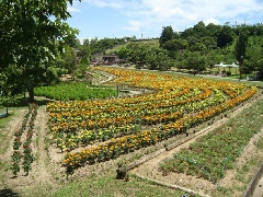 富田林市農業公園サバーファーム 近畿エリア おでかけガイド Jrおでかけネット