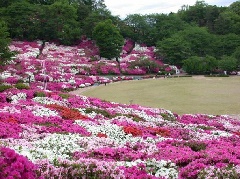 西山公園 北陸エリア おでかけガイド Jrおでかけネット